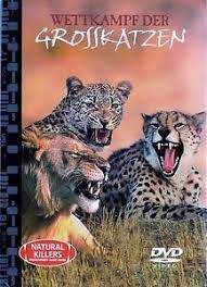 Spiel 29.0